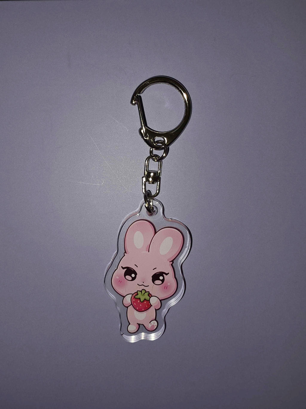 Ani-Buddy acrylic Keychain
